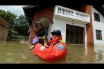На Балканах ожидают пик наводнений: Европа отправляет помощь