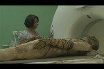 В Британском музее проходит выставка древних мумий