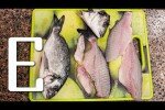 Как разделывать рыбу рецепт приготовления